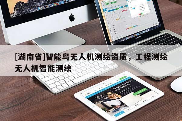 [湖南省]智能鸟无人机测绘资质，工程测绘无人机智能测绘