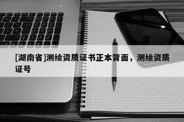 [湖南省]测绘资质证书正本背面，测绘资质证号