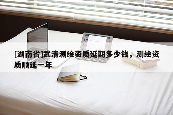 [湖南省]武清测绘资质延期多少钱，测绘资质顺延一年