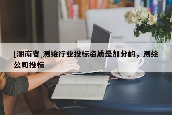 [湖南省]测绘行业投标资质是加分的，测绘公司投标