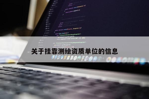 关于挂靠测绘资质单位的信息