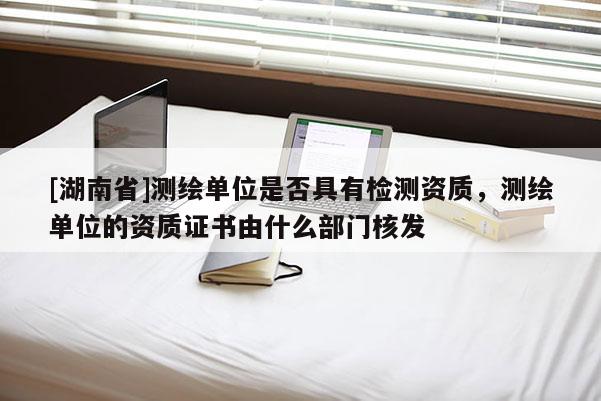 [湖南省]测绘单位是否具有检测资质，测绘单位的资质证书由什么部门核发