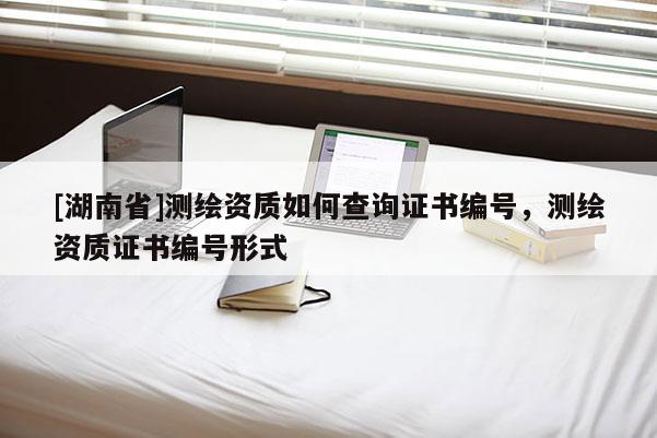 [湖南省]测绘资质如何查询证书编号，测绘资质证书编号形式