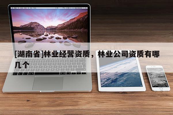 [湖南省]林业经营资质，林业公司资质有哪几个
