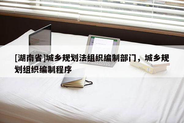 [湖南省]城乡规划法组织编制部门，城乡规划组织编制程序