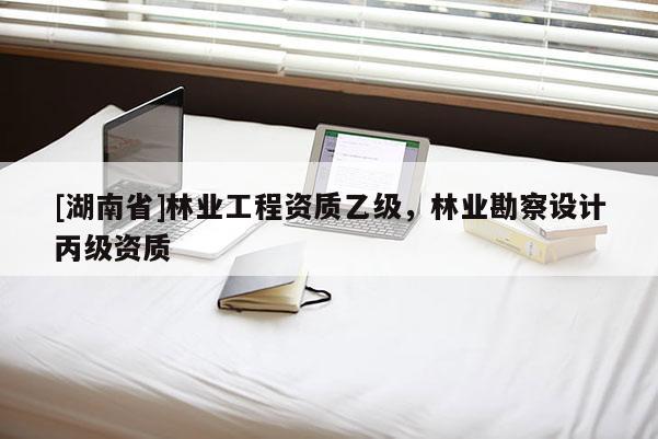 [湖南省]林业工程资质乙级，林业勘察设计丙级资质