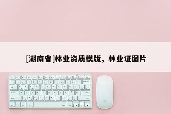 [湖南省]林业资质模版，林业证图片