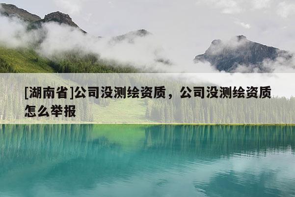 [湖南省]公司没测绘资质，公司没测绘资质怎么举报