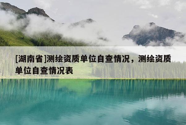 [湖南省]测绘资质单位自查情况，测绘资质单位自查情况表