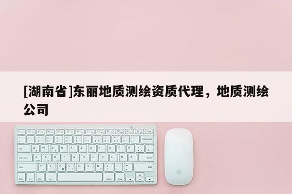 [湖南省]东丽地质测绘资质代理，地质测绘公司