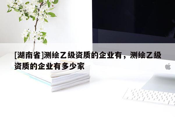 [湖南省]测绘乙级资质的企业有，测绘乙级资质的企业有多少家