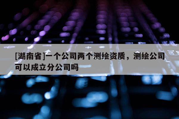 [湖南省]一个公司两个测绘资质，测绘公司可以成立分公司吗